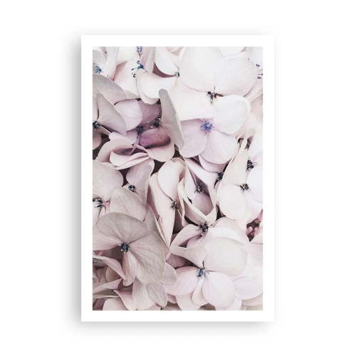 Plakát - V záplavě květin - 61x91 cm