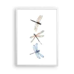 Plakát v bílém rámu - Beztížné vážky - 50x70 cm