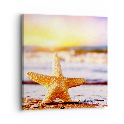 Obraz na plátně - Mořský dárek - 40x40 cm