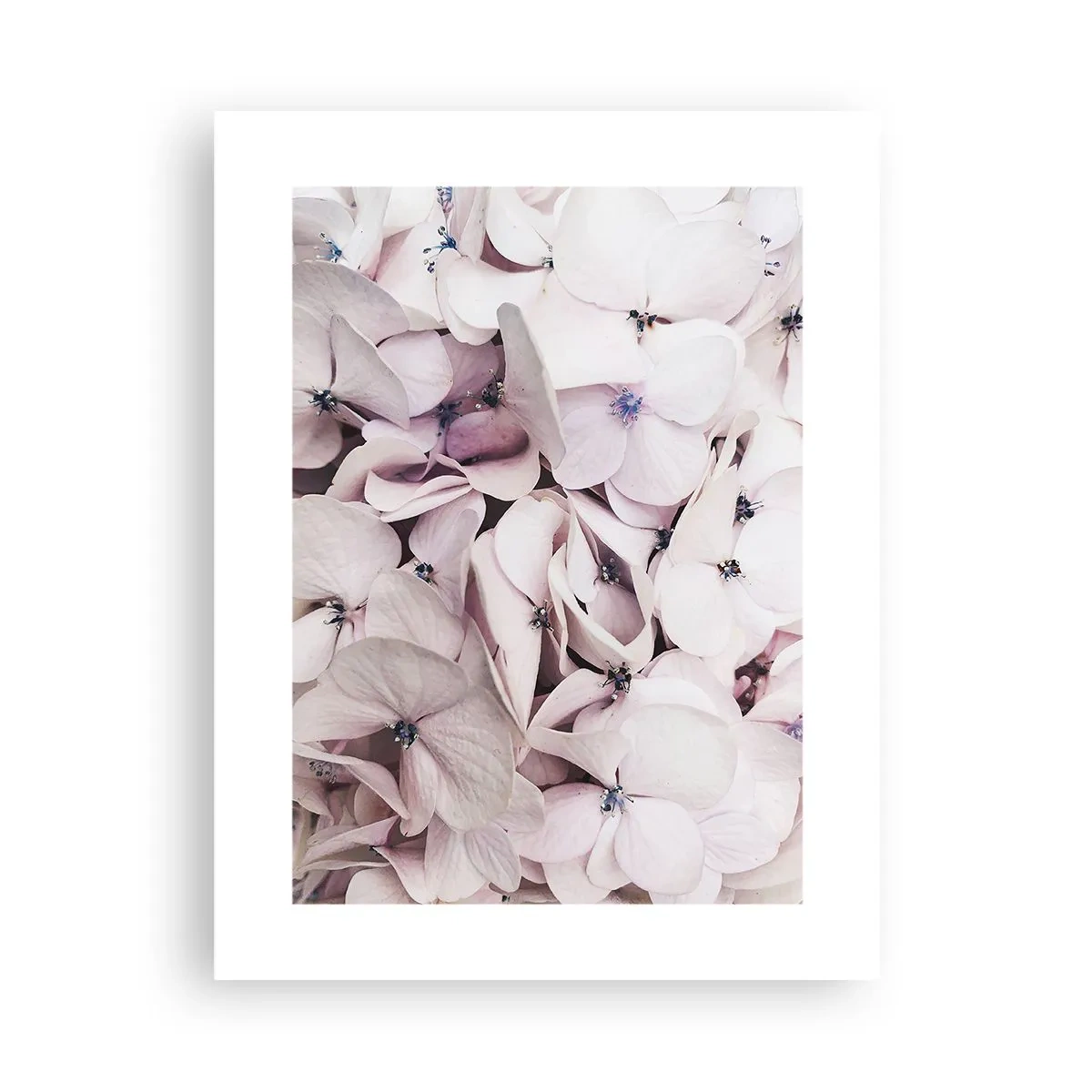 Plakát - V záplavě květin - 30x40 cm