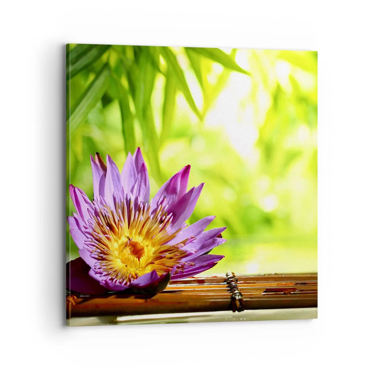 Obraz na plátně - Na asijském slunci - 70x70 cm