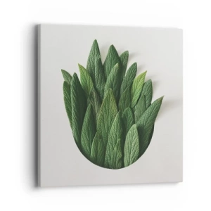 Obraz na plátně - Neukojitelná zvědavost - 40x40 cm