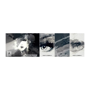 Vzor Fototapety Premium Canvas - Za šedým závojem - ženská tvář, Černý a bílý, Oči - 100x30 cm