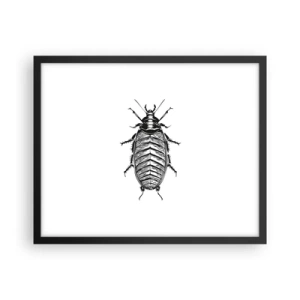 Plakát v černém rámu - Vzorový exemplář! - 50x40 cm