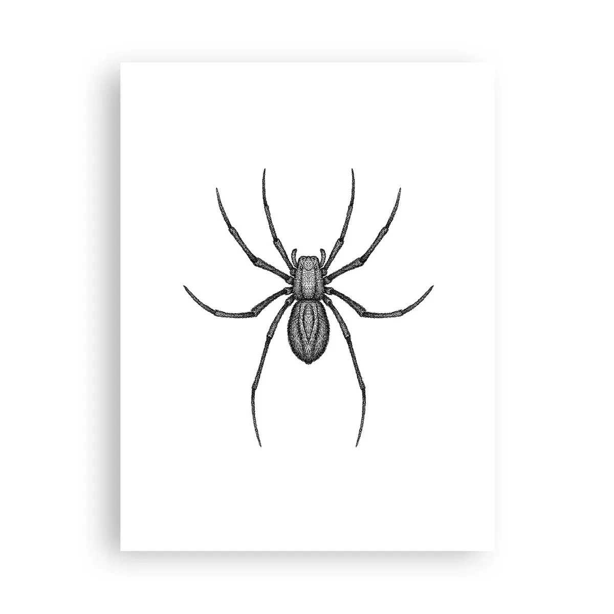 Plakát - Znepokojivá přesnost - 30x40 cm