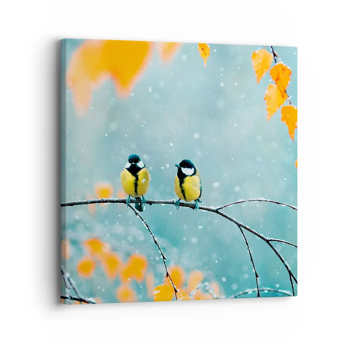 Obraz na plátně - Ptačí drby - 30x30 cm