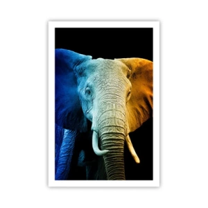 Plakát - Výstřední muž, ale ne podivín - 61x91 cm