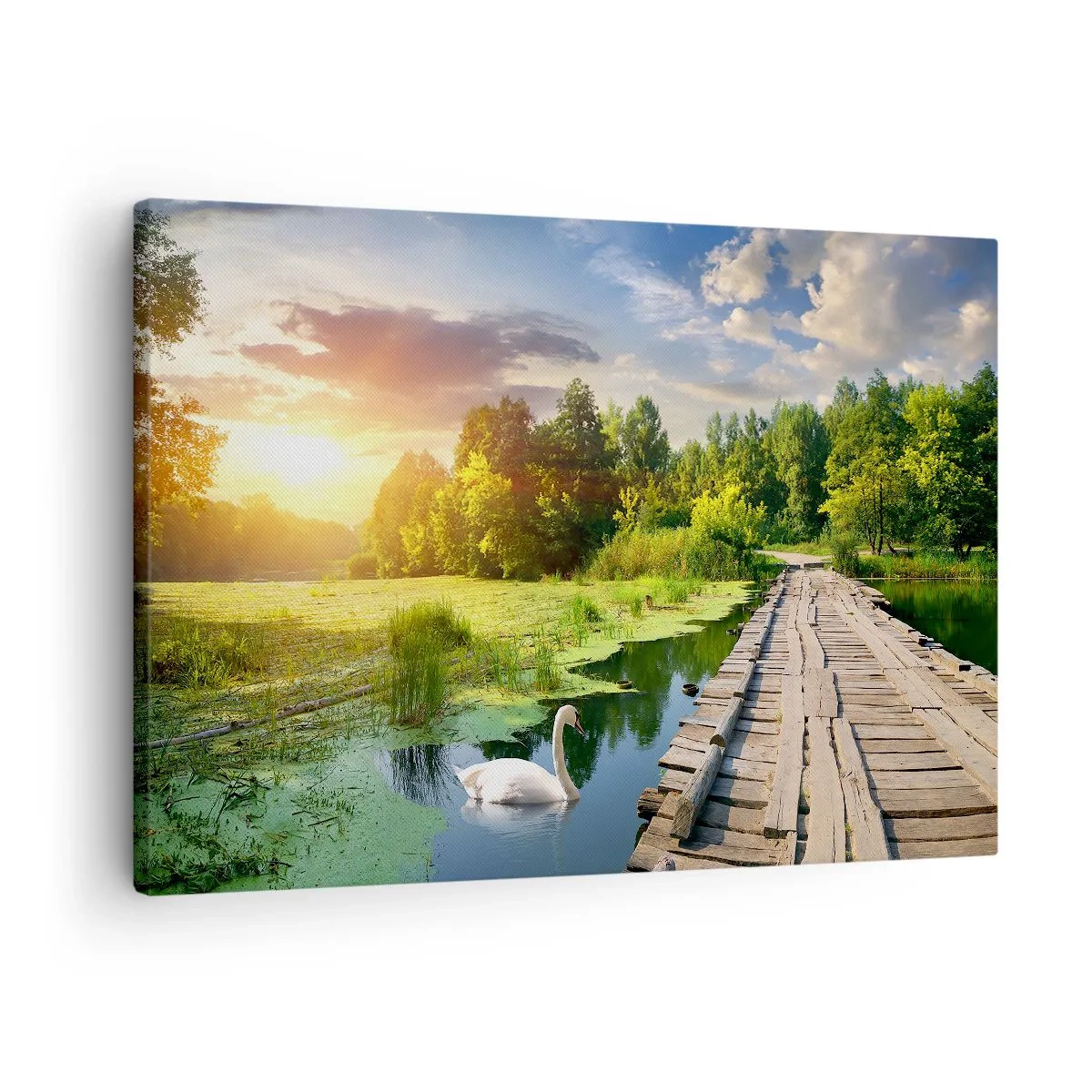 Obraz na plátně - Malebná krajina s mostem a labutí - 70x50cm - Léto, léto všude - Moderní nástěnná dekorace do obývacího pokoje a ložnice ARTTOR