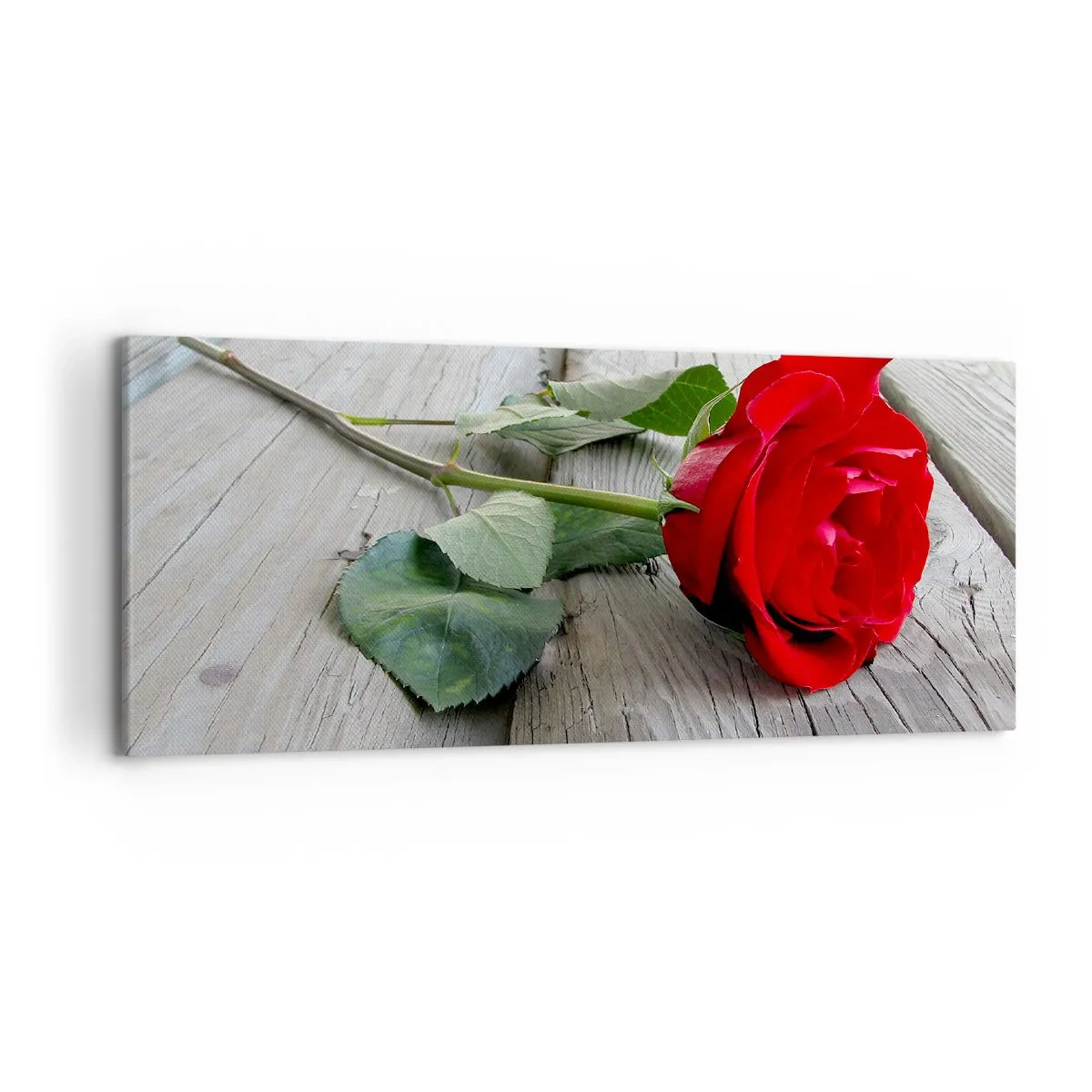 Obraz na plátně - Studie v šarlatové - 120x50 cm