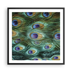 Plakát v černém rámu - Paví pohled - 60x60 cm