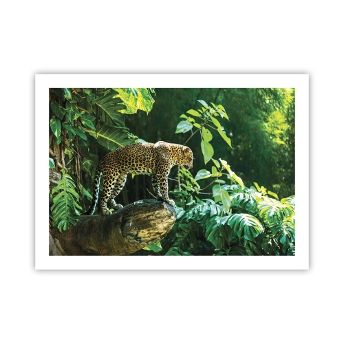 Plakát - Na lov? - 70x50 cm