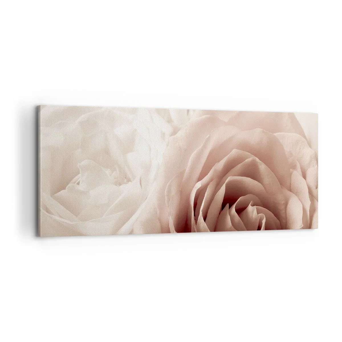 Obraz na plátně - V srdci růže - 100x40 cm