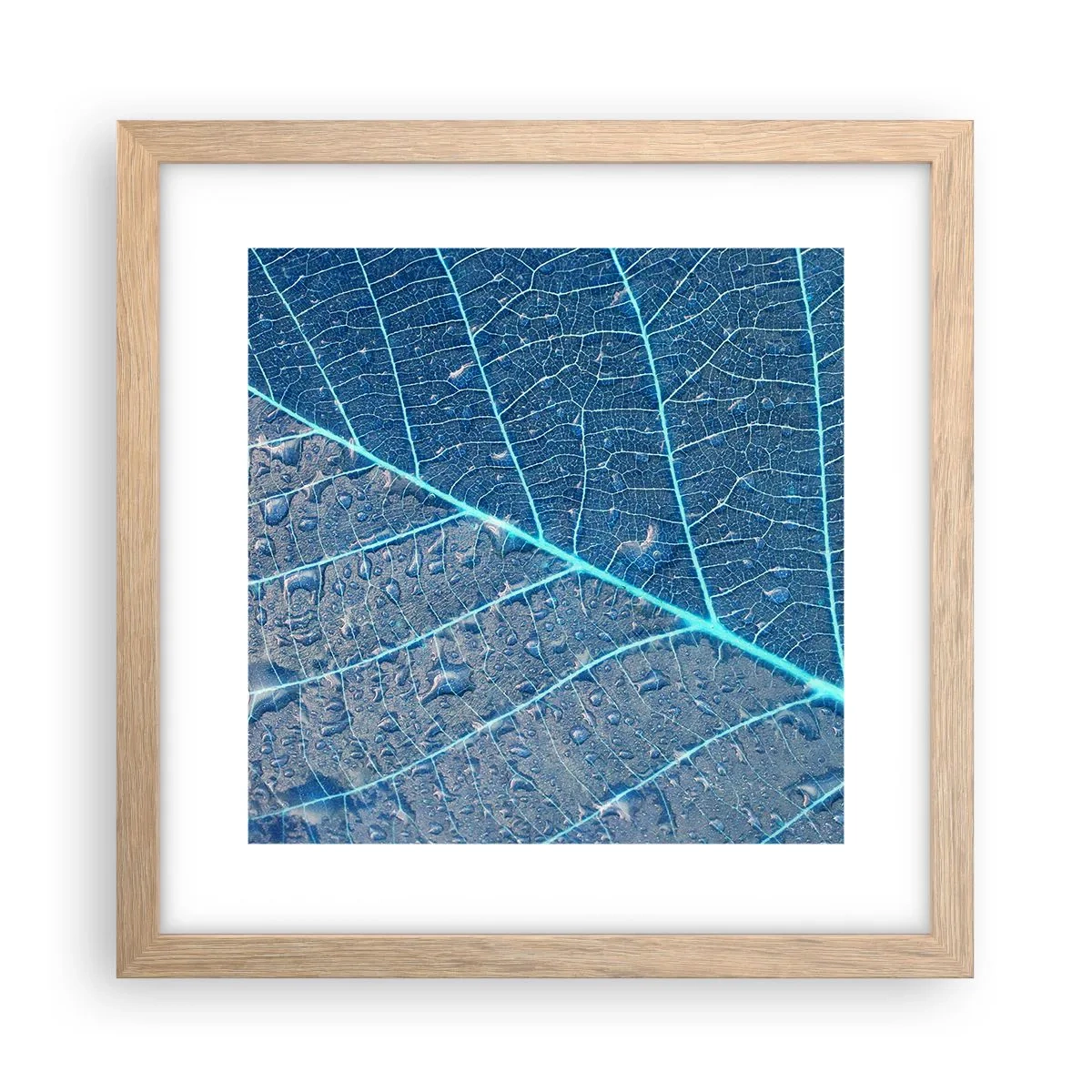 Plakát v rámu světlý dub - Život v modři - 30x30 cm