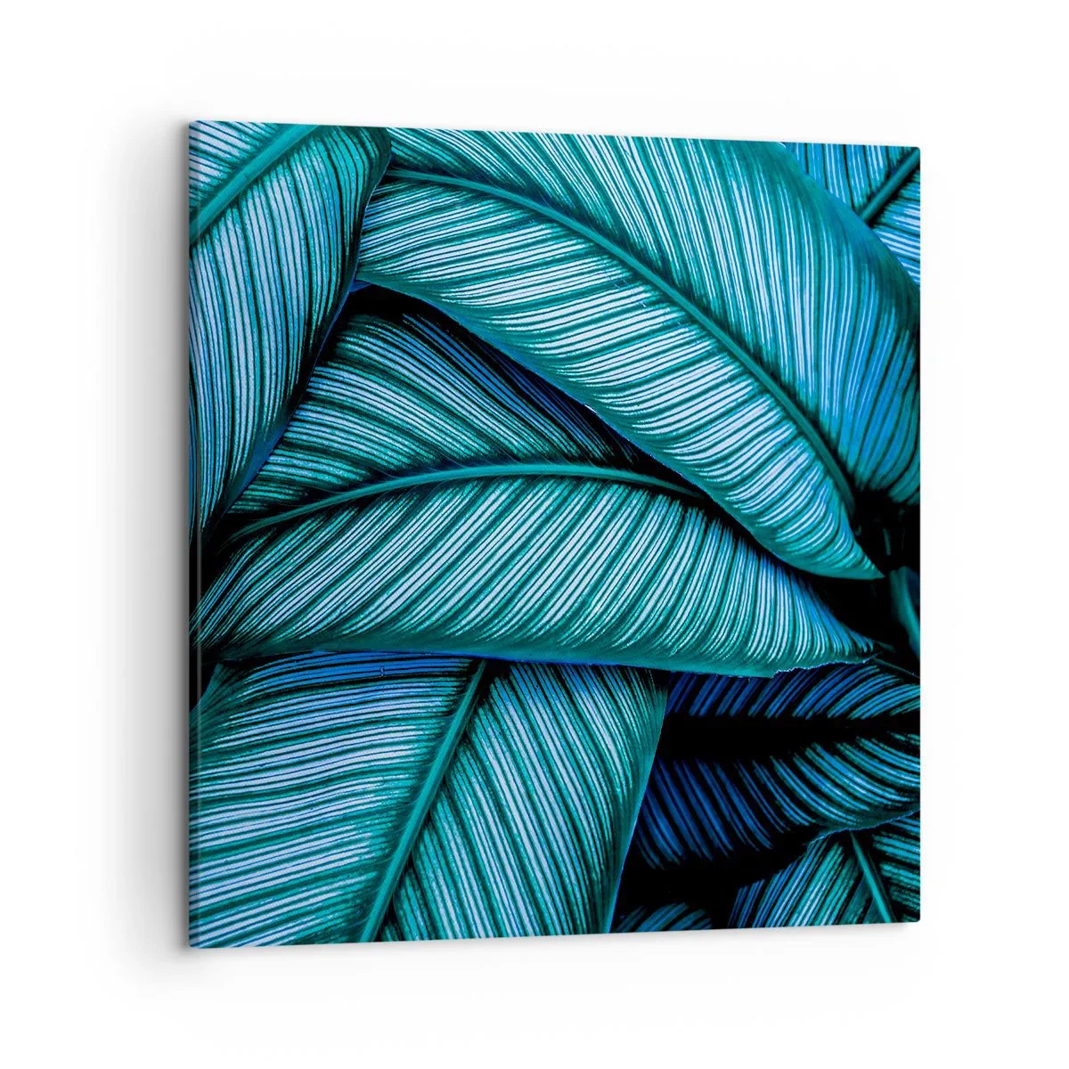Obraz na plátně - Čáry života - 50x50 cm