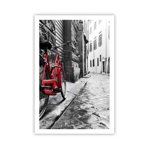 Plakát - Skutečná krása nestárne - 61x91 cm