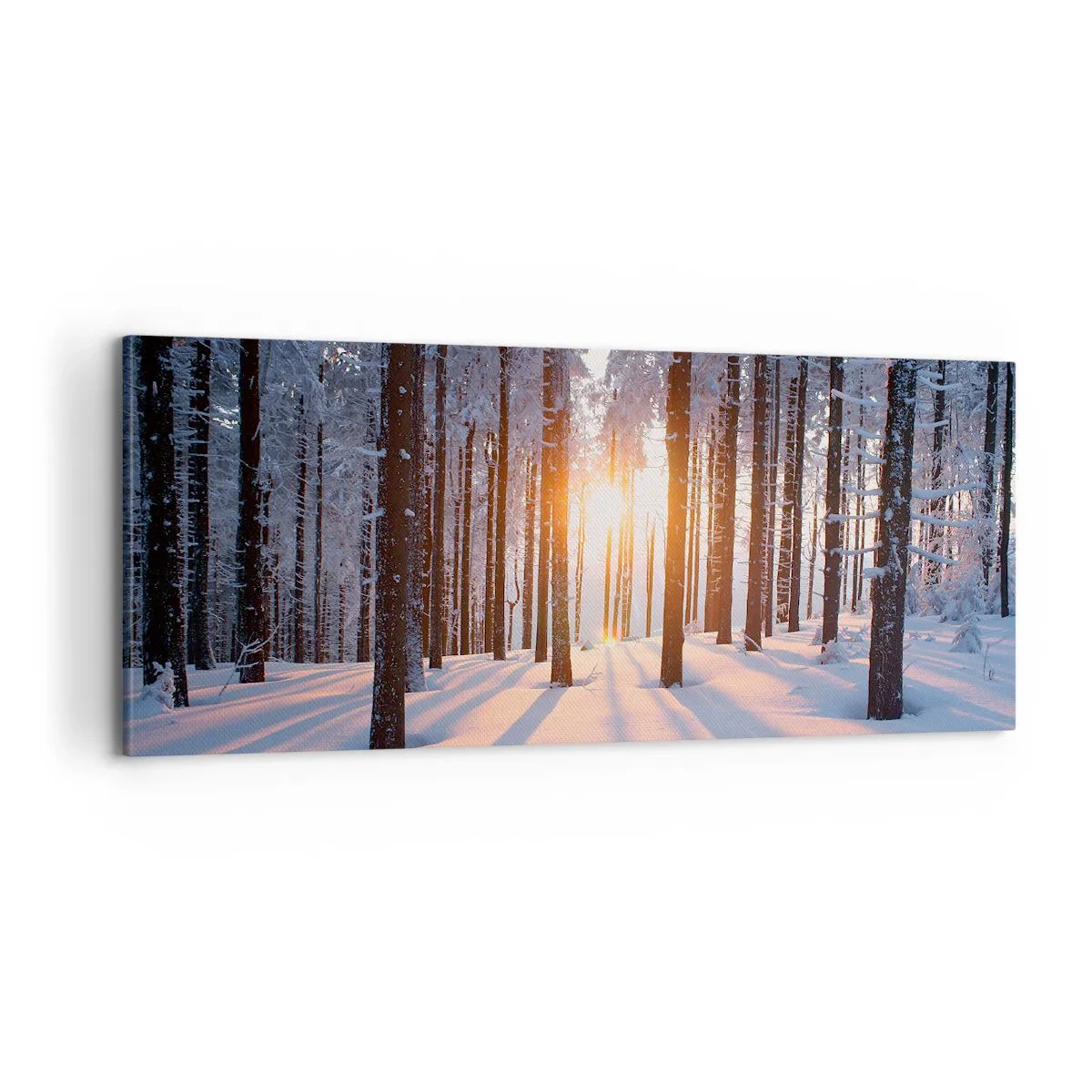 Obraz na plátně - Jasně černé na bílém - 100x40 cm