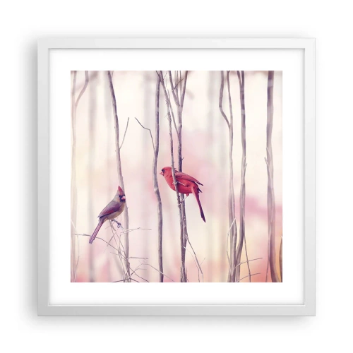 Plakát v bílém rámu - Příběh růžového lesa - 40x40 cm