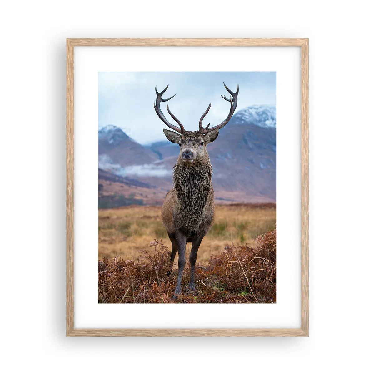 Plakát v rámu světlý dub - Na vlastní půdě - 40x50 cm