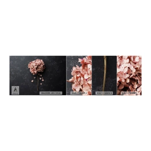 Vzor Fototapety Samolepicí Deluxe Sticker - Skutečně romantické znamení - Květ, Hortenzie, Příroda - 100x30 cm