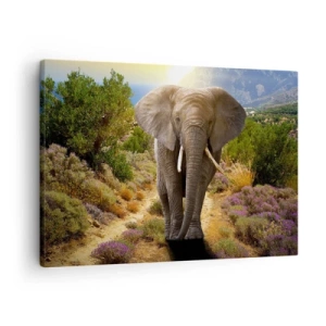 Obraz na plátně - Africký slon proti savany a horské krajině - 70x50cm - Tak vypadal Ráj - Moderní nástěnná dekorace do obývacího pokoje a ložnice ARTTOR
