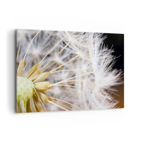 Obraz na plátně - Těsně před odletem - 100x70 cm