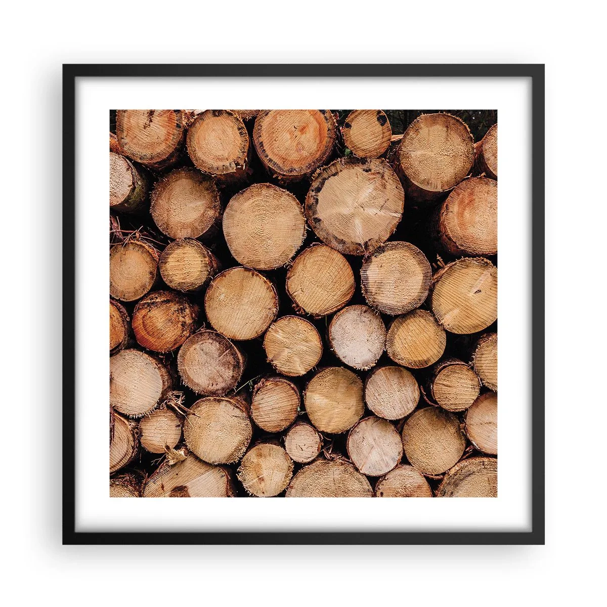 Plakát v černém rámu - Nový začátek - 50x50 cm