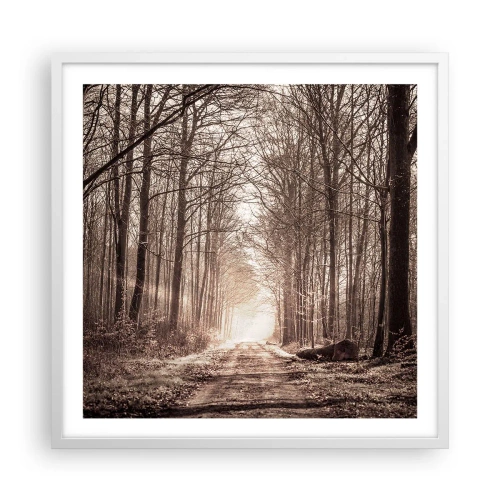 Plakát v bílém rámu - Lesní katedrála - 60x60 cm