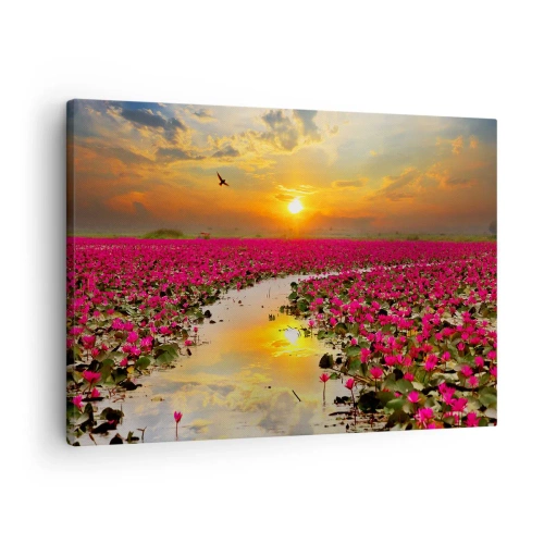 Obraz na plátně - Pole růžových leknínů při západu slunce - 70x50cm - Tajemný život jezera - Moderní nástěnná dekorace do obývacího pokoje a ložnice ARTTOR