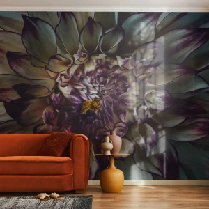 Fototapeta Premium Sand - Rozkvět mládí - Květiny, Jiřina, Kvetoucí Květina - 100x70 cm