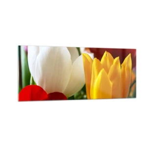 Obraz na skle - Tulipánová horečka - 100x40 cm