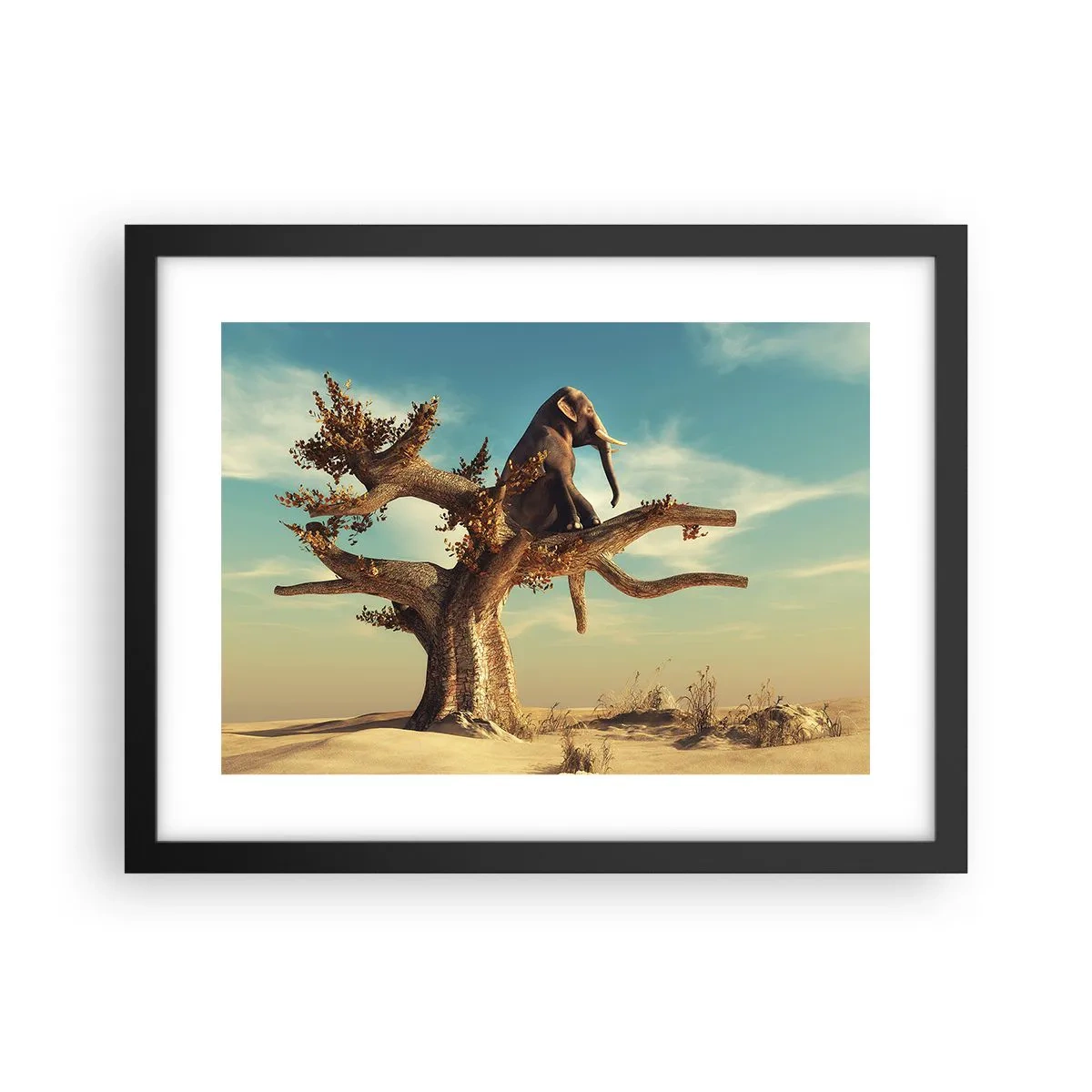 Plakát v černém rámu - Nový úhel pohledu - 40x30 cm