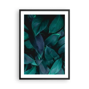 Plakát v černém rámu - Tmavě zelené listy s jemným podsvícením - 50x70cm - Zeleň sama o sobě - Moderní nástěnná dekorace do obývacího pokoje a ložnice ARTTOR