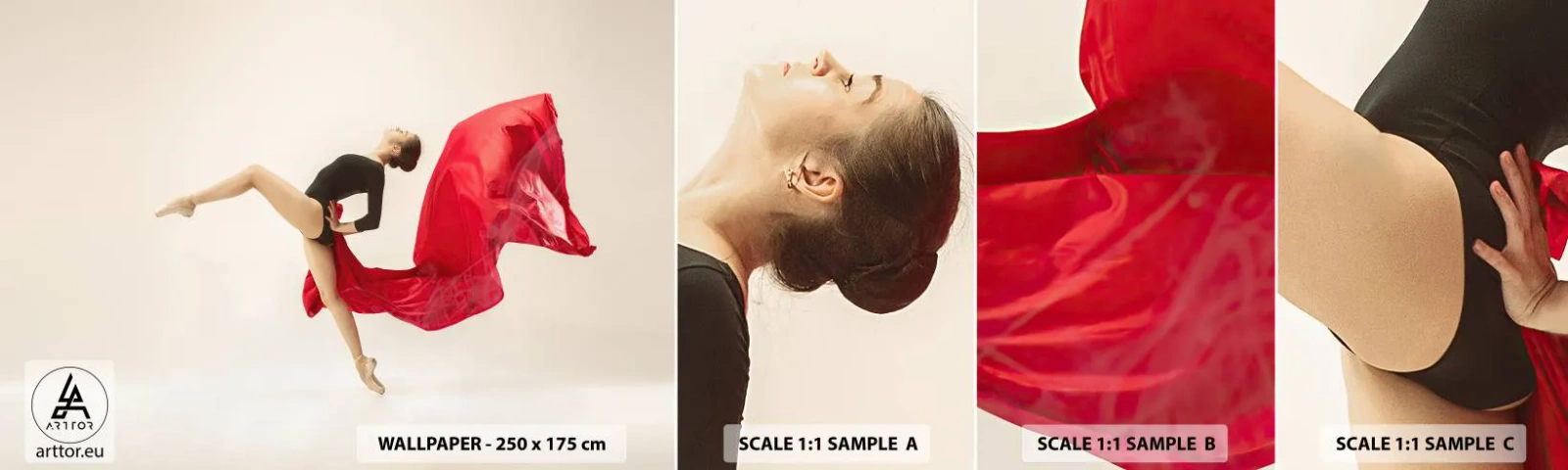 Fototapeta Vzorek Standard Eco - Červené a černé - Balerína, Tanec, Balet - 100x30 cm