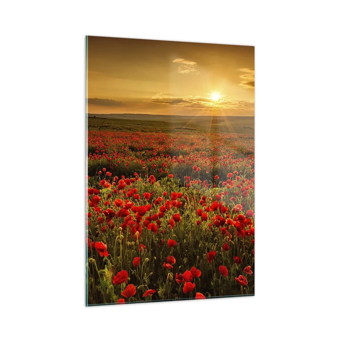 Obraz na skle - Mezi vlnami šumících luk, mezi záplavou květů - 50x70 cm