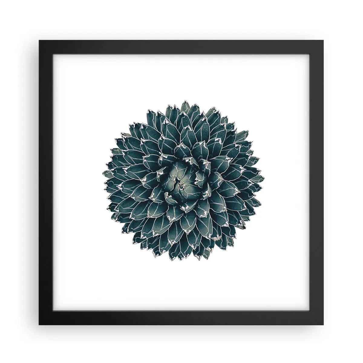 Plakát v černém rámu - Hvězda pouště - 30x30 cm