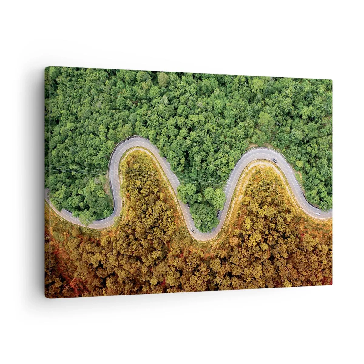 Obraz na plátně - Klikatá cesta lesem z ptačí perspektivy - 70x50cm - Hranice a průlomy - Moderní nástěnná dekorace do obývacího pokoje a ložnice ARTTOR