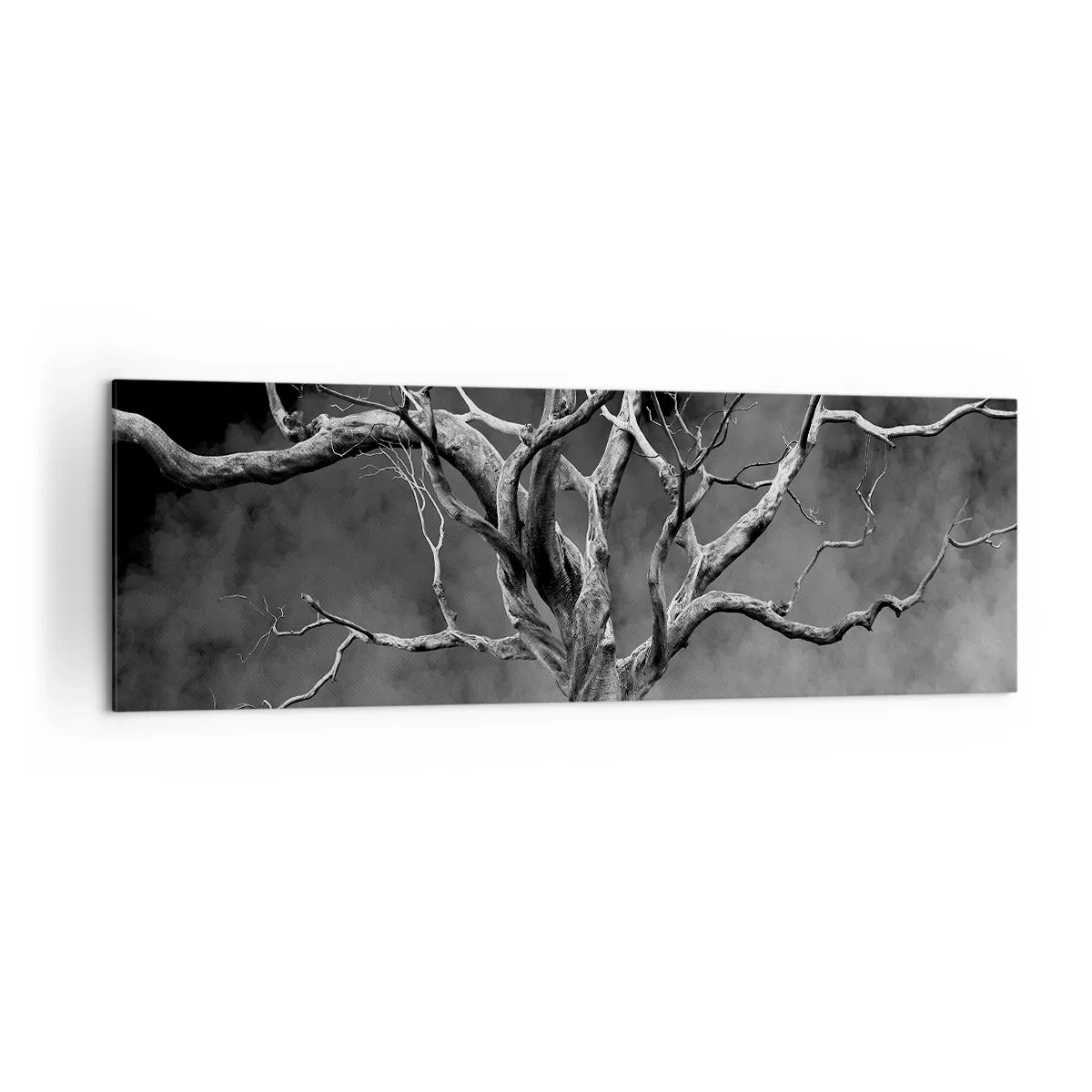 Obraz na plátně - Původní a svaté - 160x50 cm