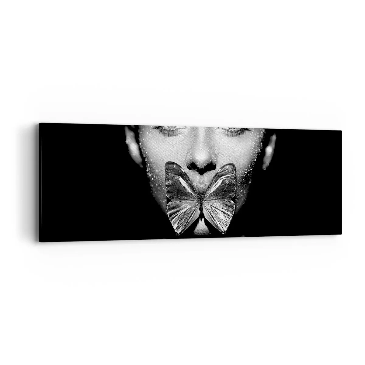 Obraz na plátně - Motýlí polibek - 90x30 cm