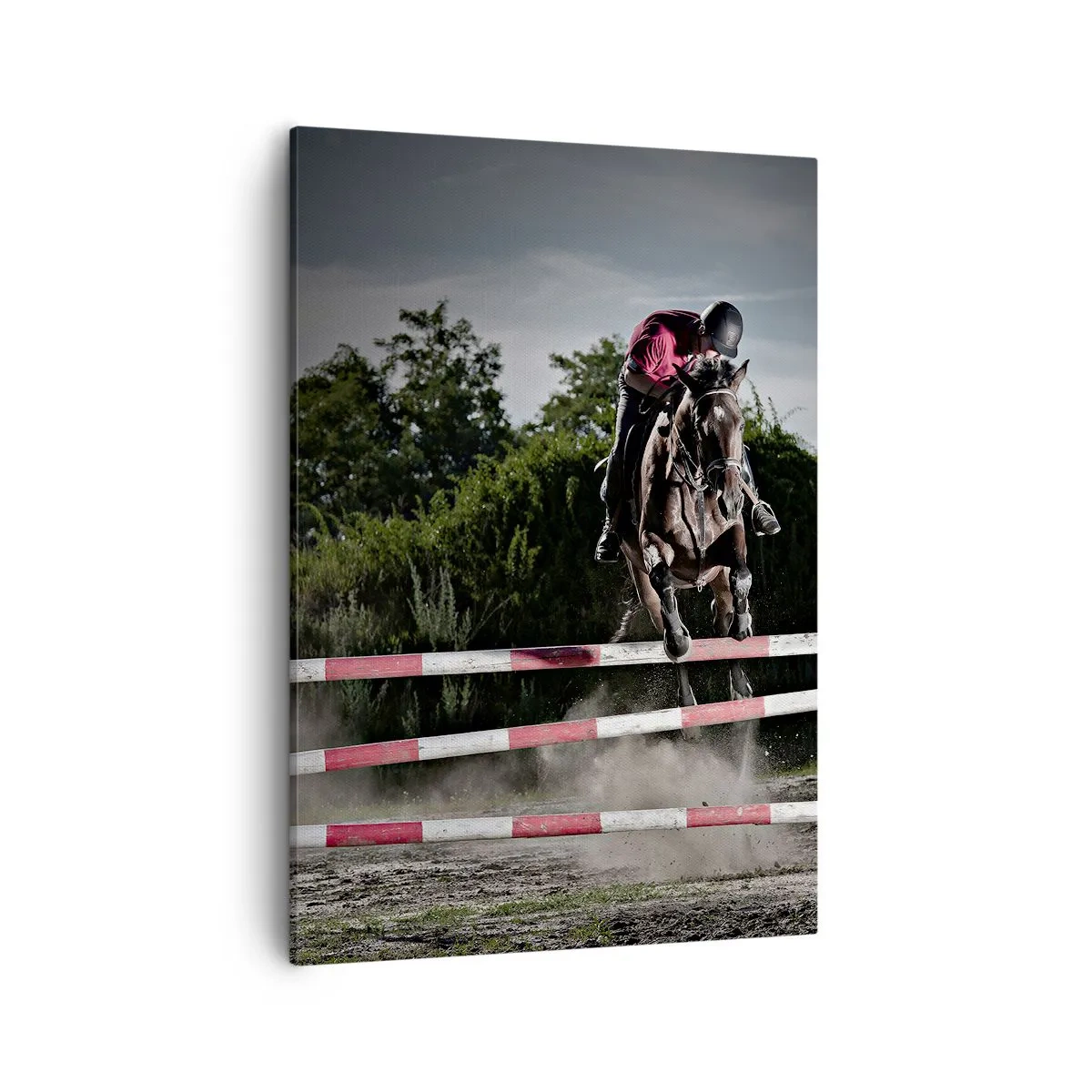 Obraz na plátně - Společně pro vítězství - 50x70 cm