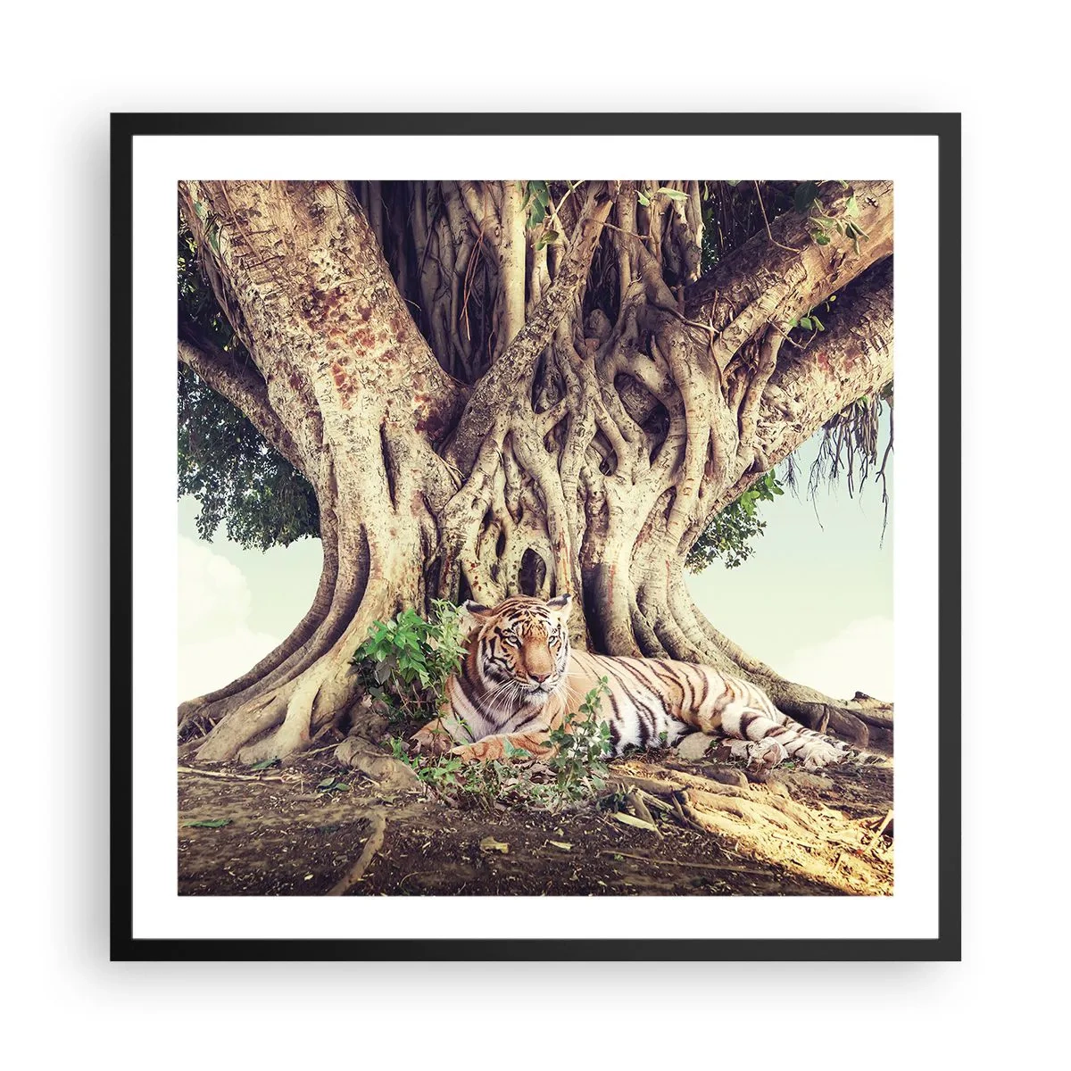 Plakát v černém rámu - Pohled z knihy Mojžíšovy - 60x60 cm