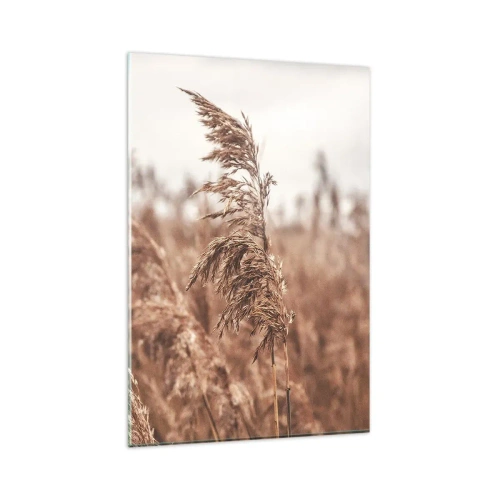 Obraz na skle - Na polích už je podzim - 80x120 cm