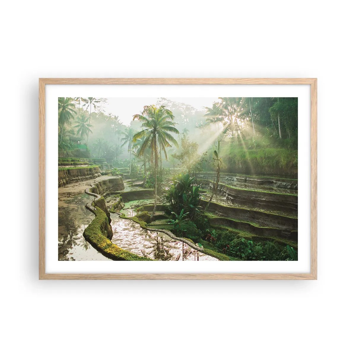 Plakát v rámu světlý dub - Vyrůstát na slunci - 70x50 cm