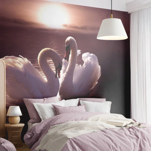 Fototapeta Standard Eco - Dokud nás smrt nerozdělí - Zvířata, Krajina, labutě - 350x256 cm