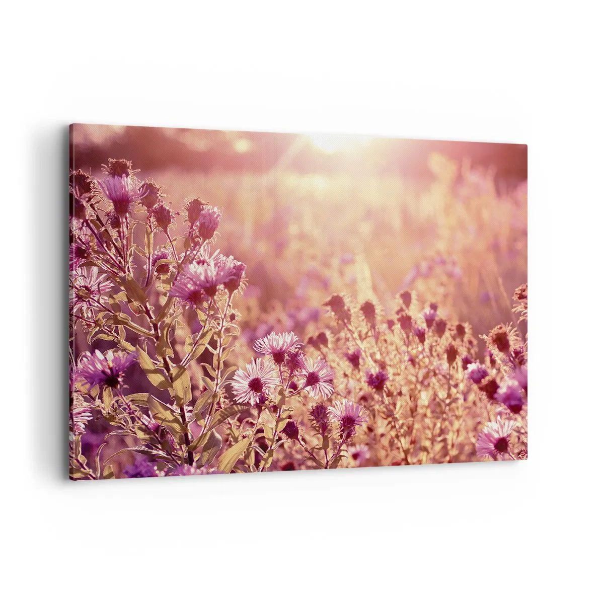 Obraz na plátně - Než skončí léto - 120x80 cm