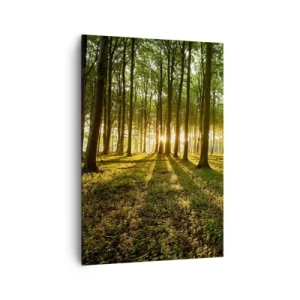 Obraz na plátně - Fotografie všech jar - 70x100 cm