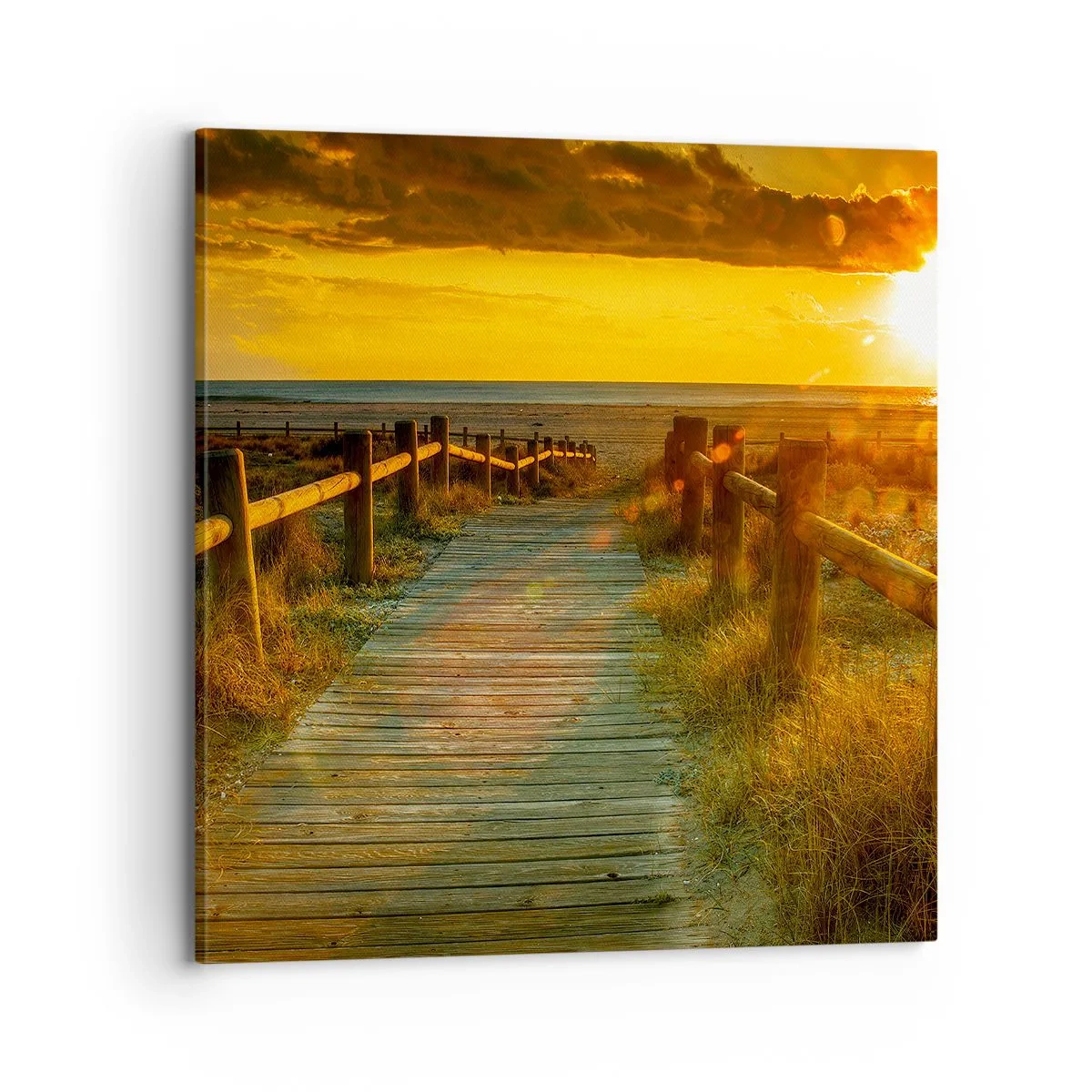 Obraz na plátně - Vykoupané ve starém zlatě - 70x70 cm