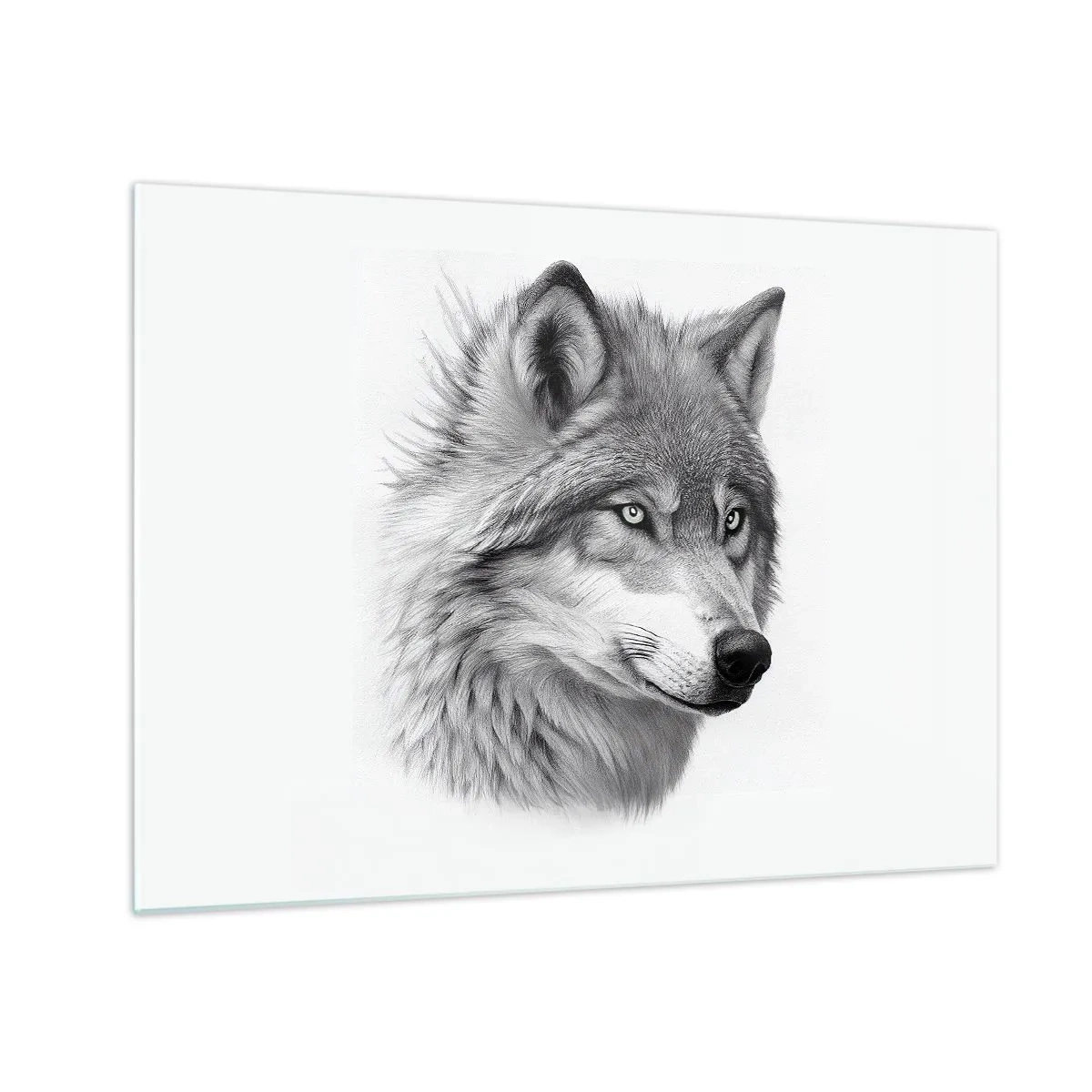 Obraz na skle - Černobílý portrét vlka s pronikavým pohledem - 70x50cm - Alfa – bezpochybně - Moderní nástěnná dekorace do obývacího pokoje a ložnice ARTTOR