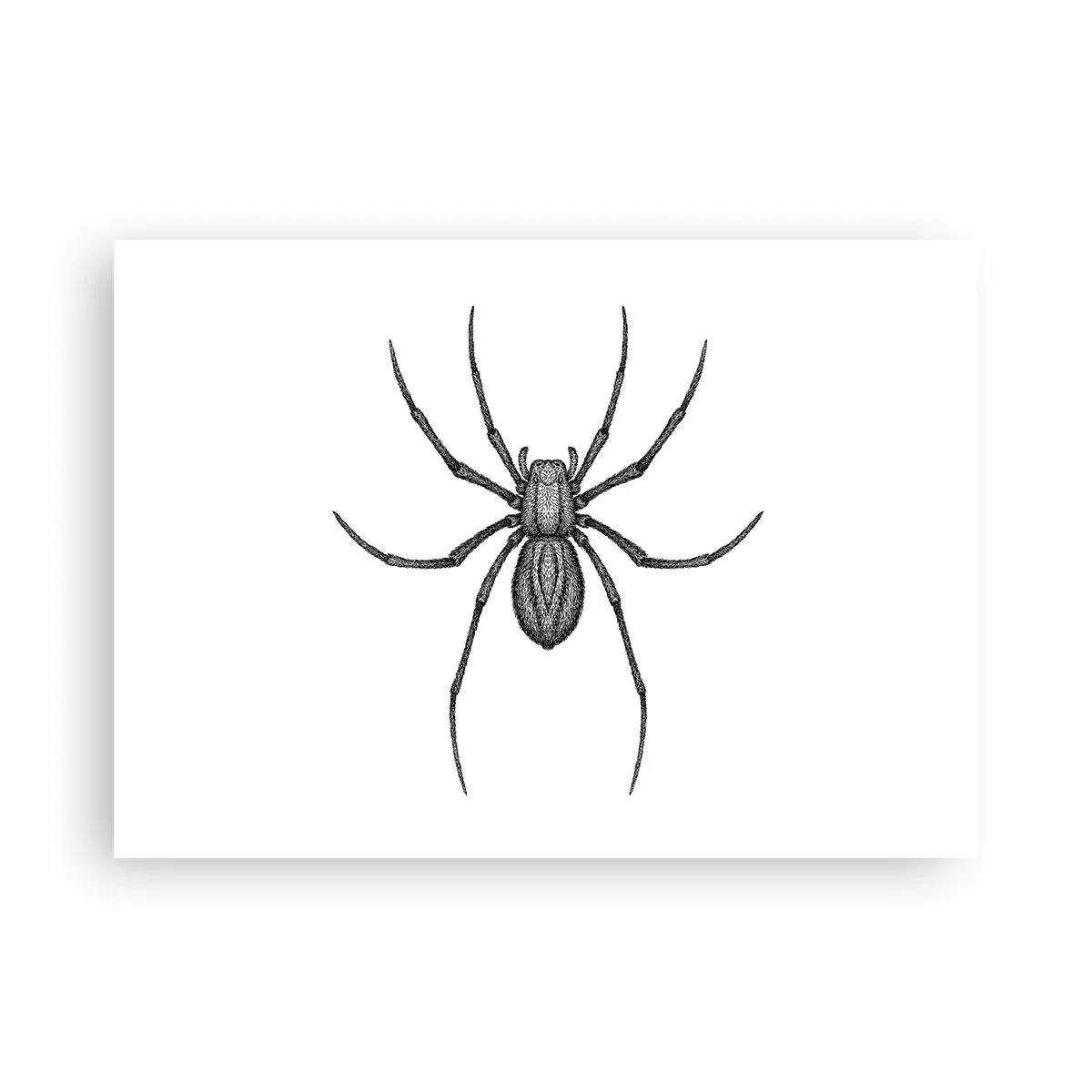 Plakát - Znepokojivá přesnost - 70x50 cm