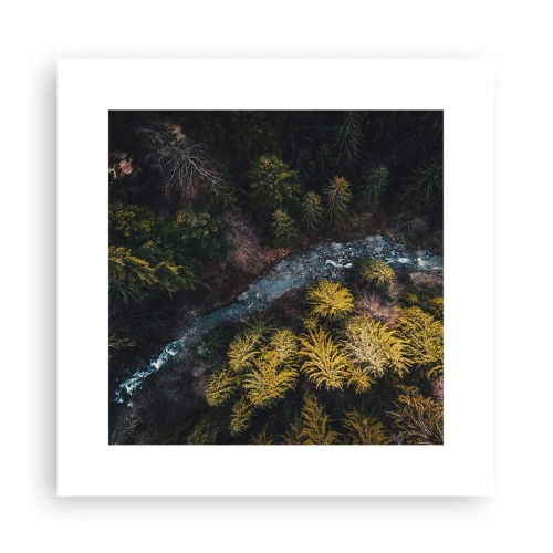 Plakát - Rychle, stále rychleji - 30x30 cm