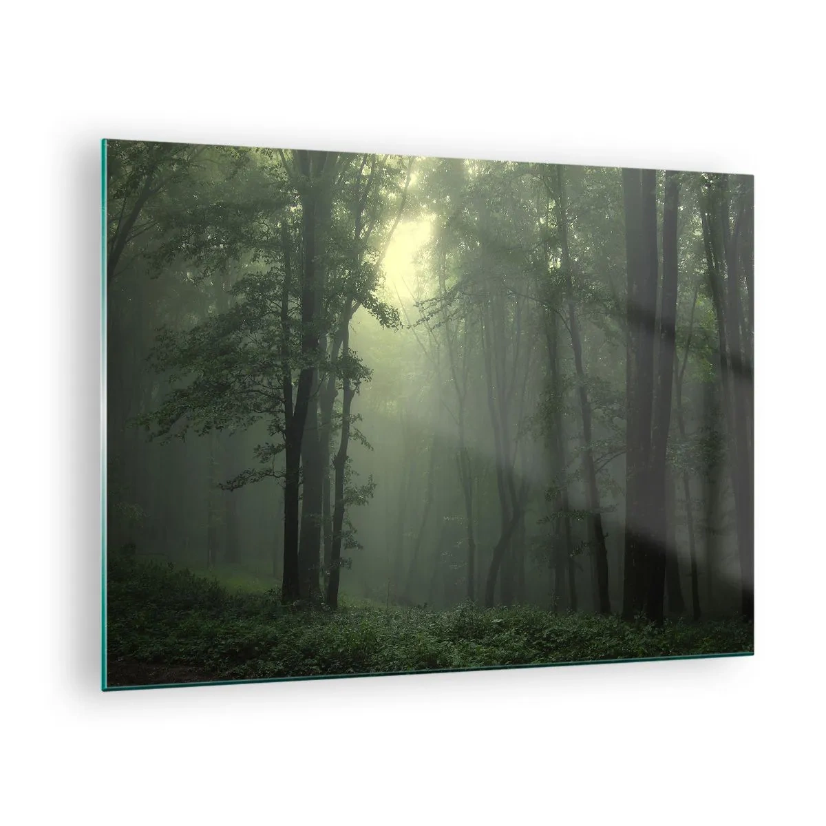 Obraz na skle - Temný les zahalený v mlze s paprsky světla - 70x50cm - Než se probudí - Moderní nástěnná dekorace do obývacího pokoje a ložnice ARTTOR